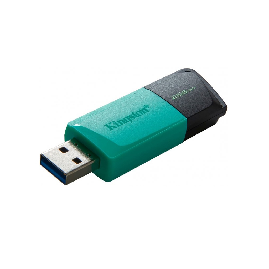 USB флеш накопичувач Kingston 256GB DataTraveler Exodia M USB 3.2 (DTXM/256GB)