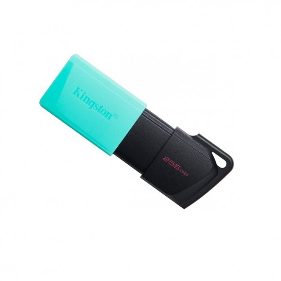 USB флеш накопичувач Kingston 256GB DataTraveler Exodia M USB 3.2 (DTXM/256GB)