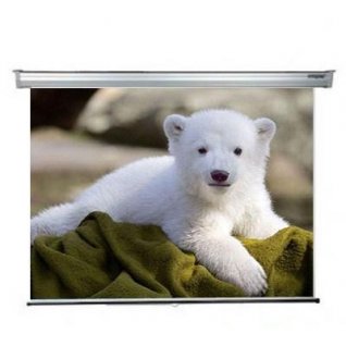 Проекційні екрани