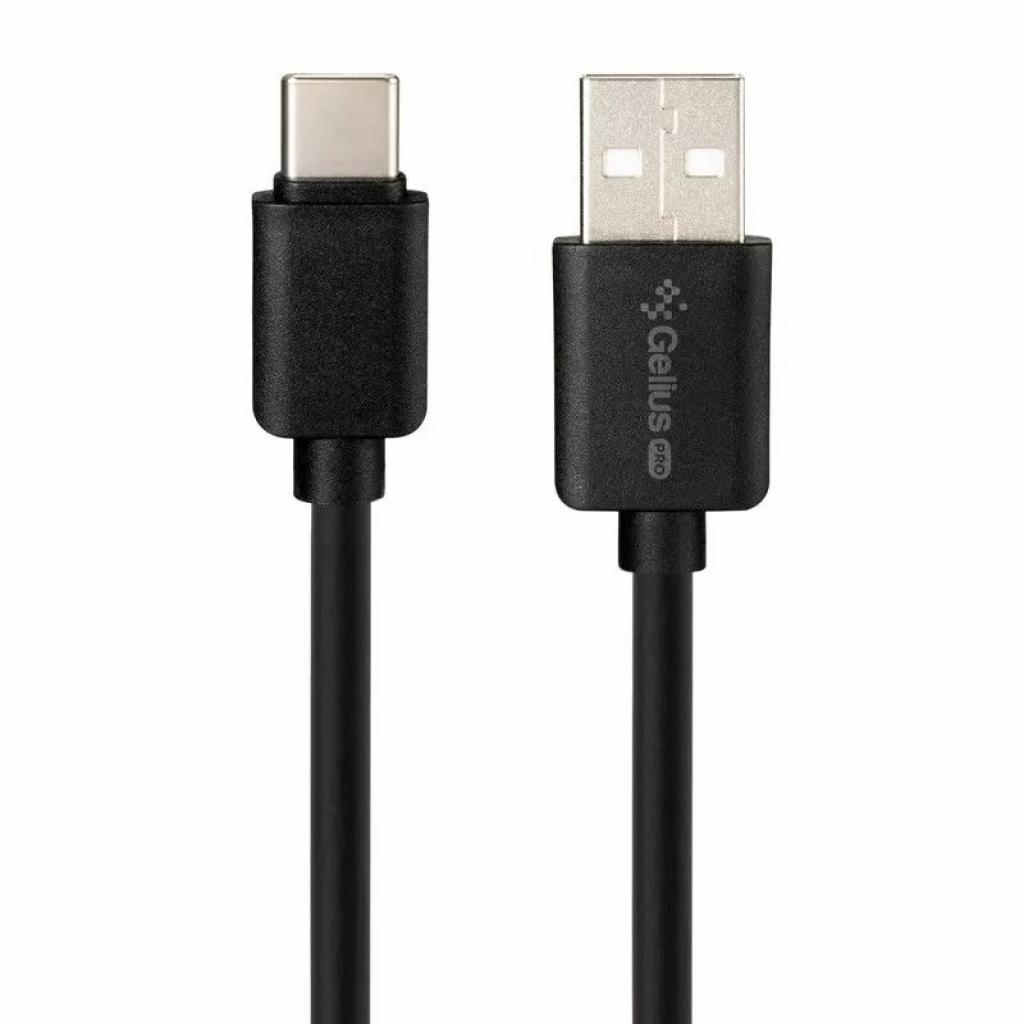 Зарядний пристрій Gelius Pro Avangard GP-HC06 2USB 2.4A + Cable Type-C Black (00000075589)