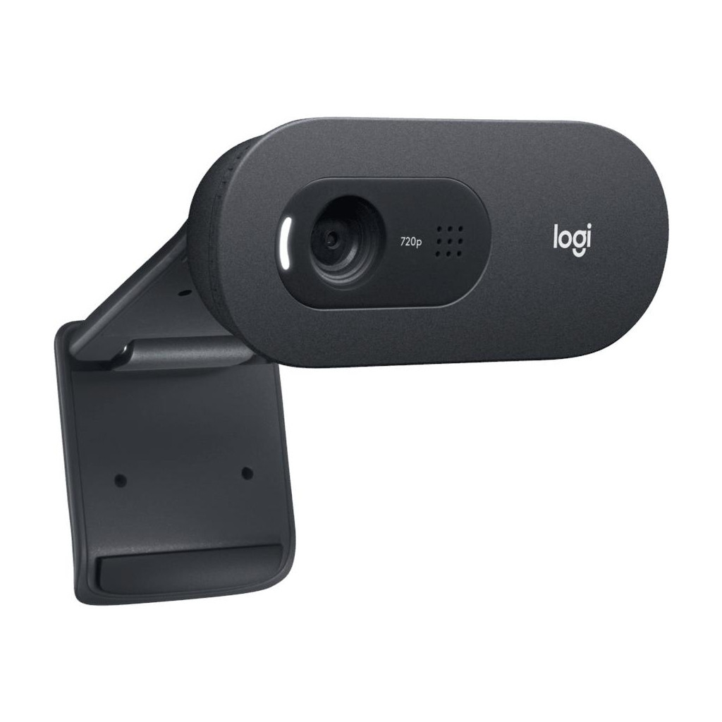 Веб-камера Logitech C505e HD (960-001372)