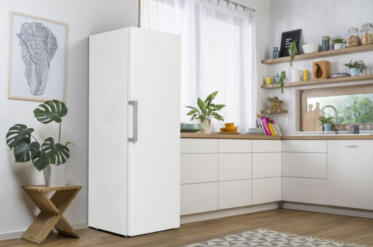 Морозильна камера Gorenje FN 619 EEW5