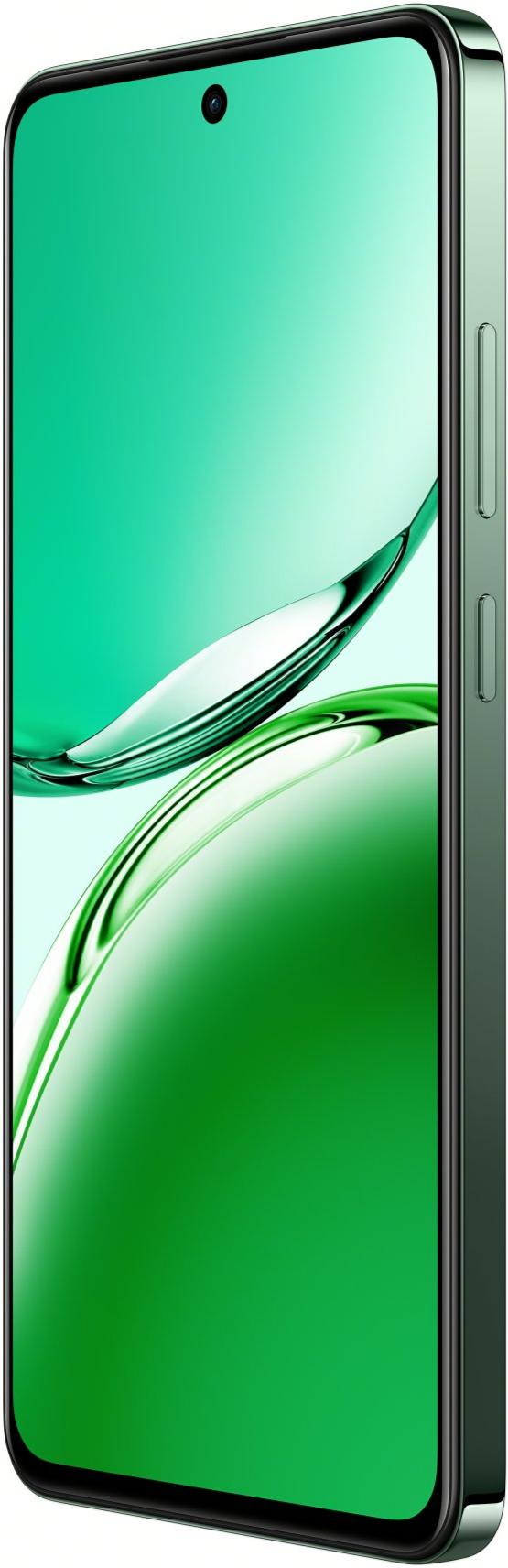 Смартфон OPPO Reno12 FS 12/512GB Black Green