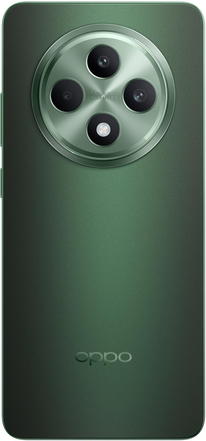 Смартфон OPPO Reno12 FS 12/512GB Black Green