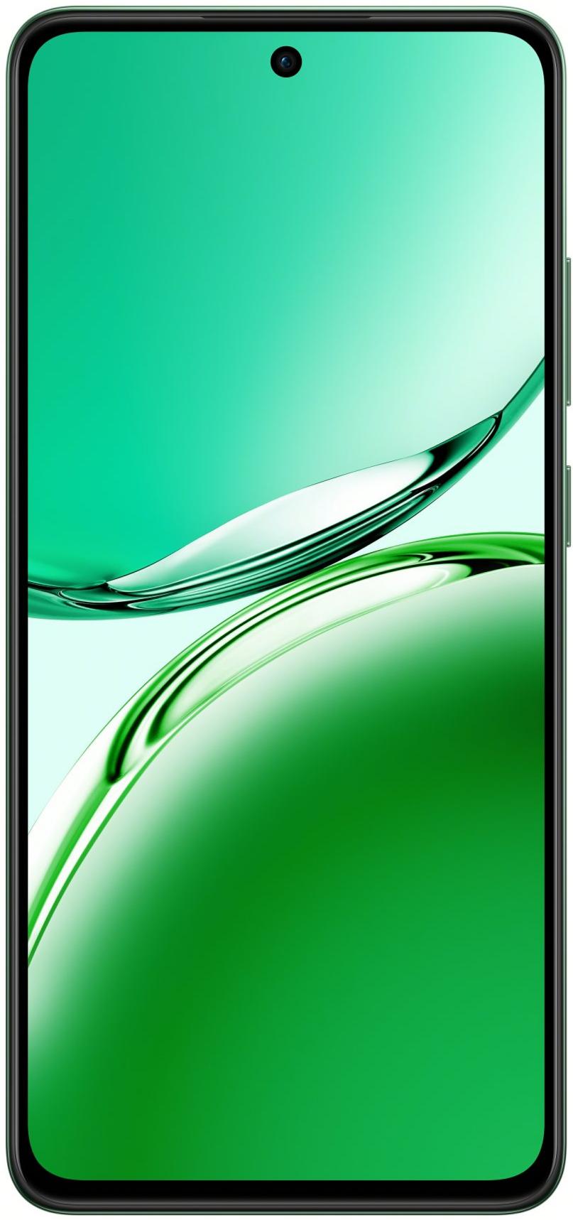 Смартфон OPPO Reno12 FS 12/512GB Black Green