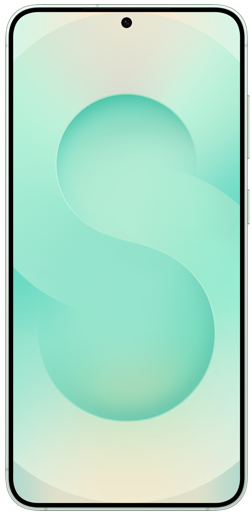 Смартфон Samsung Galaxy S25 12/256Gb LGG Mint