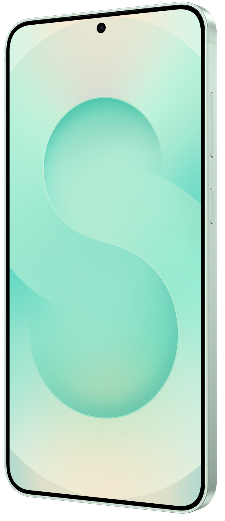 Смартфон Samsung Galaxy S25 12/256Gb LGG Mint