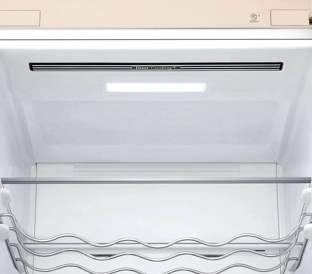 Холодильник LG GC-B509FEMW
