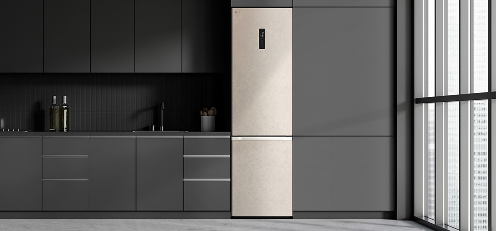 Холодильник LG GC-B509FEPW