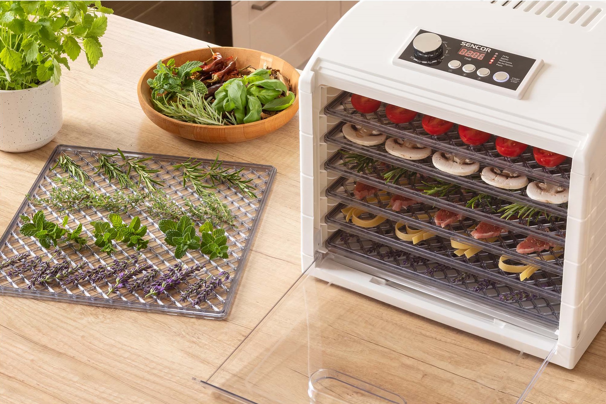 Сушка для фруктів і овочів Sencor SFD 6500WH