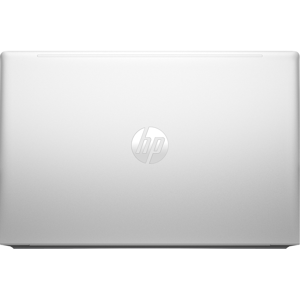 Ноутбук HP ProBook 455 G10 (719F9AV_ITM1)