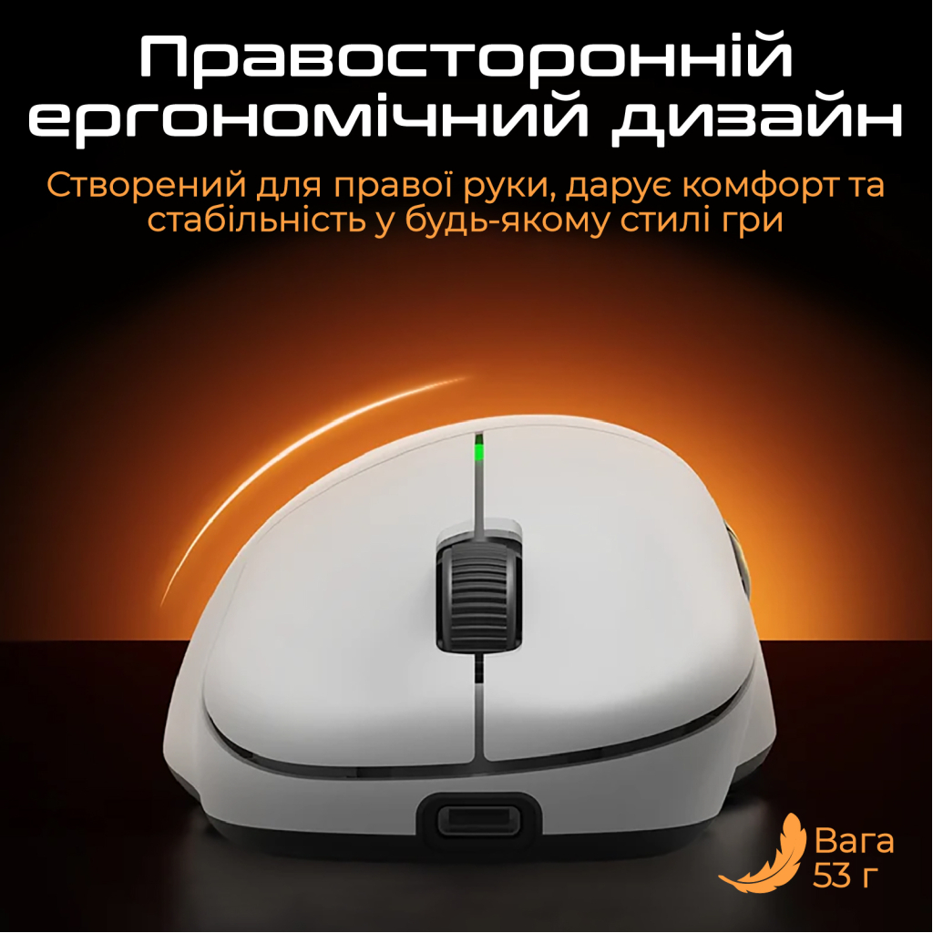 Мишка RAWM ER21 Wireless/Bluetooth Black (ER21.black)