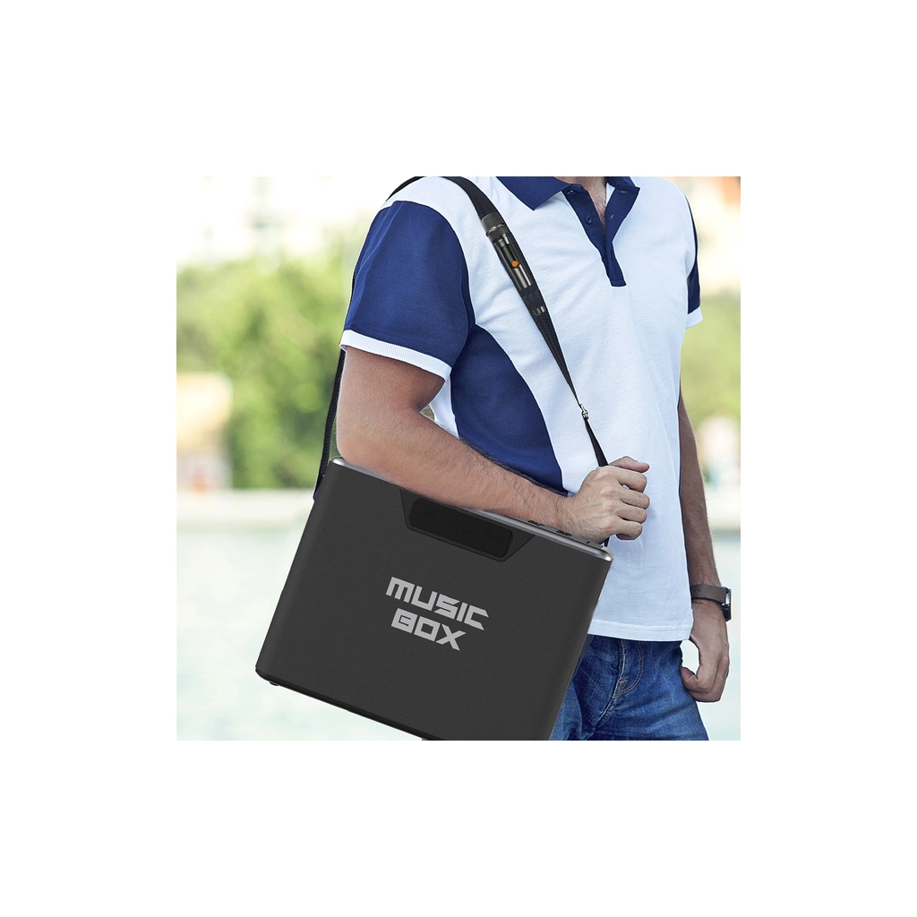 Акустична система HiFuture MusicBox 100W Silver (musicbox.silver)