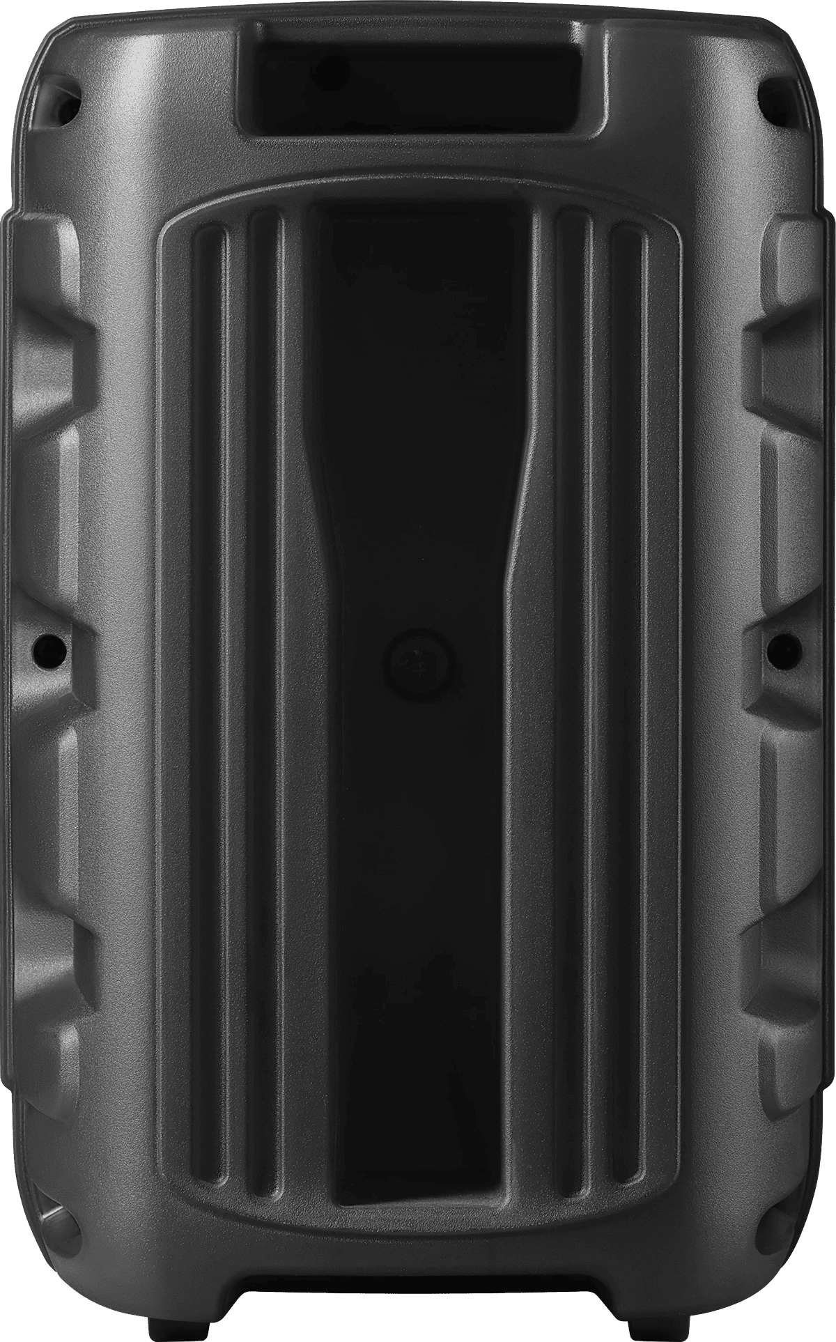 Портативна акустика Defender Boomer 12 15Вт (65412) 