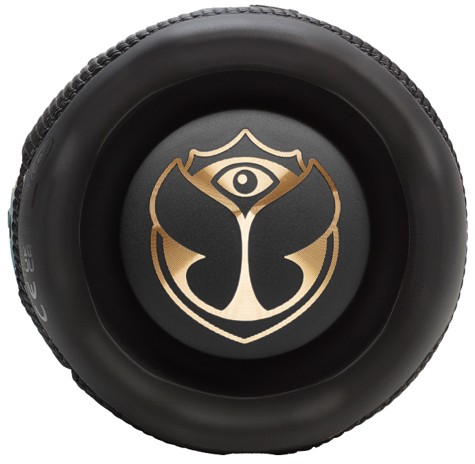 Портативна акустика JBL Flip 7 Tomorrowland (JBLFLIP7TML)