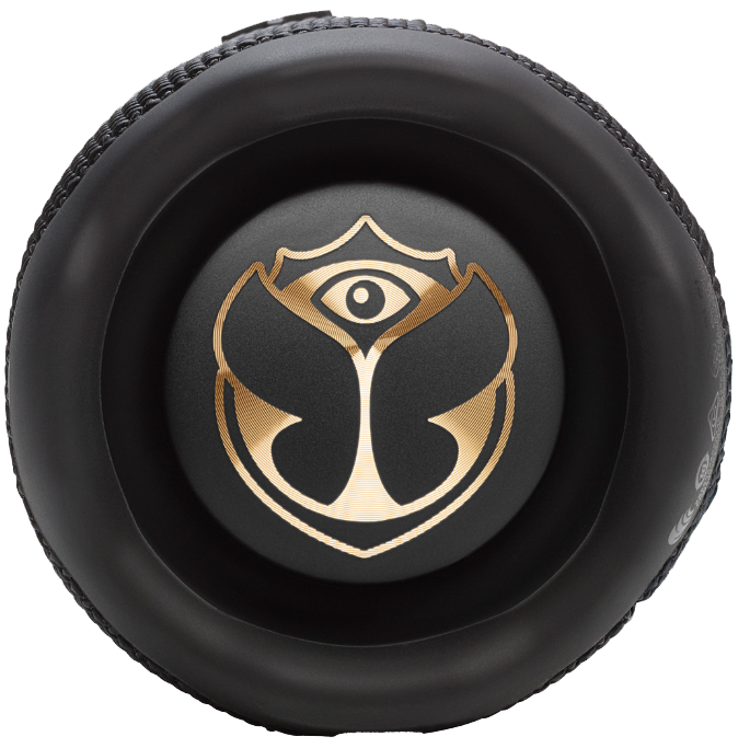 Портативна акустика JBL Flip 7 Tomorrowland (JBLFLIP7TML)