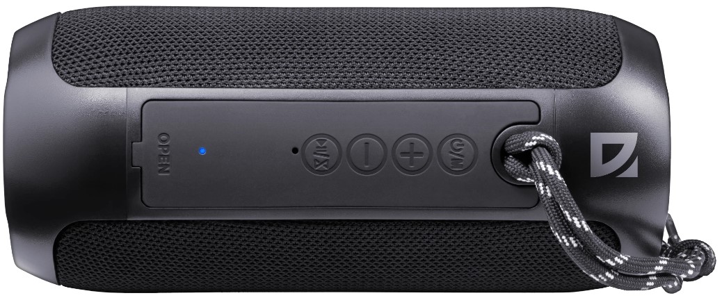 Портативна акустика Defender Enjoy S100 Black (65101)