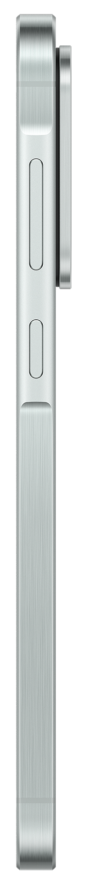 Смартфон Samsung Galaxy A56 5G 8/256Gb ZGC Awesome Olive