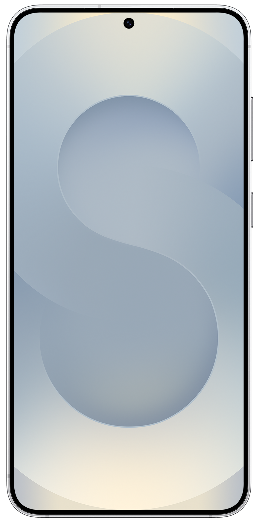 Смартфон Samsung Galaxy S25 12/512Gb ZSH Silver Shadow