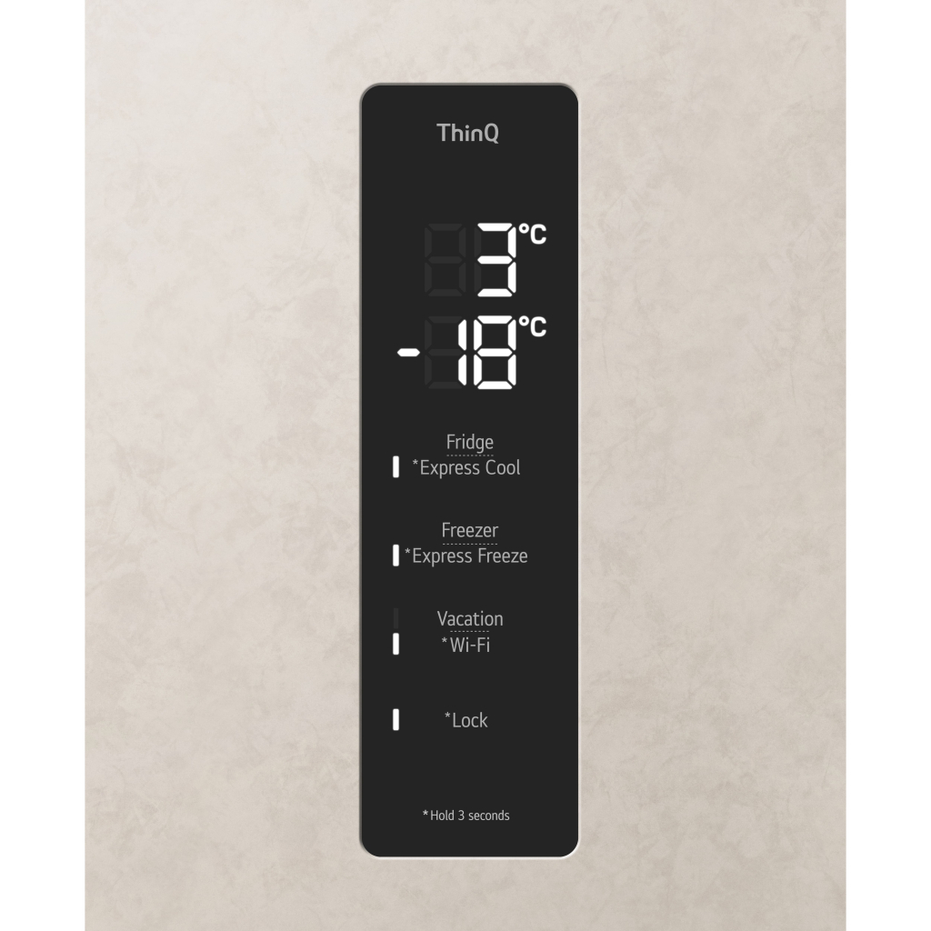 Холодильник LG GC-B509FEMW