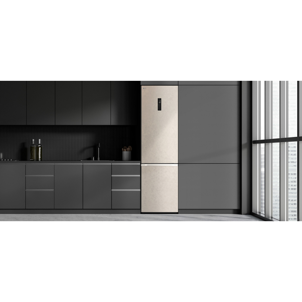 Холодильник LG GC-B509FEMW