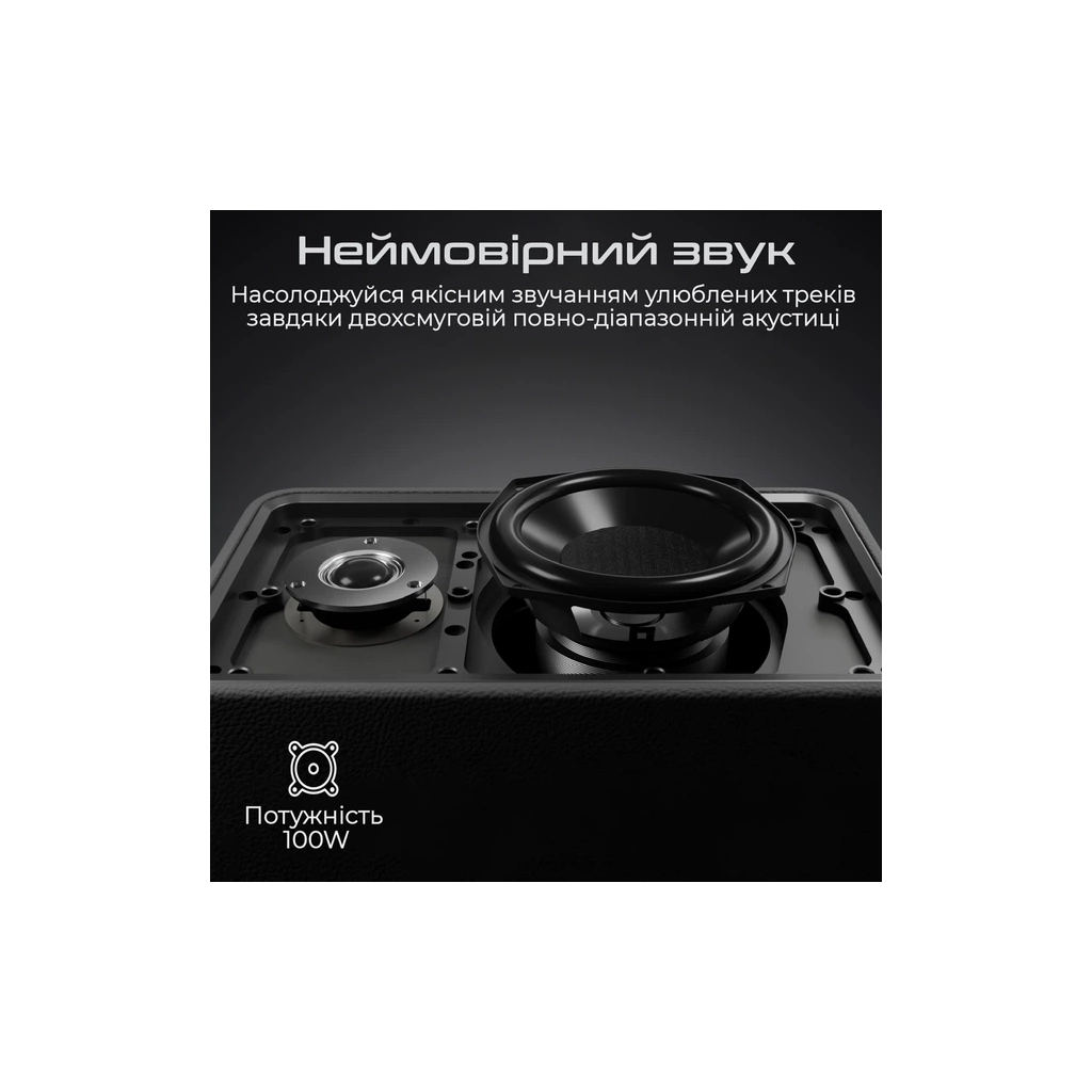 Акустична система HiFuture Passion X Black (passion-x.black)