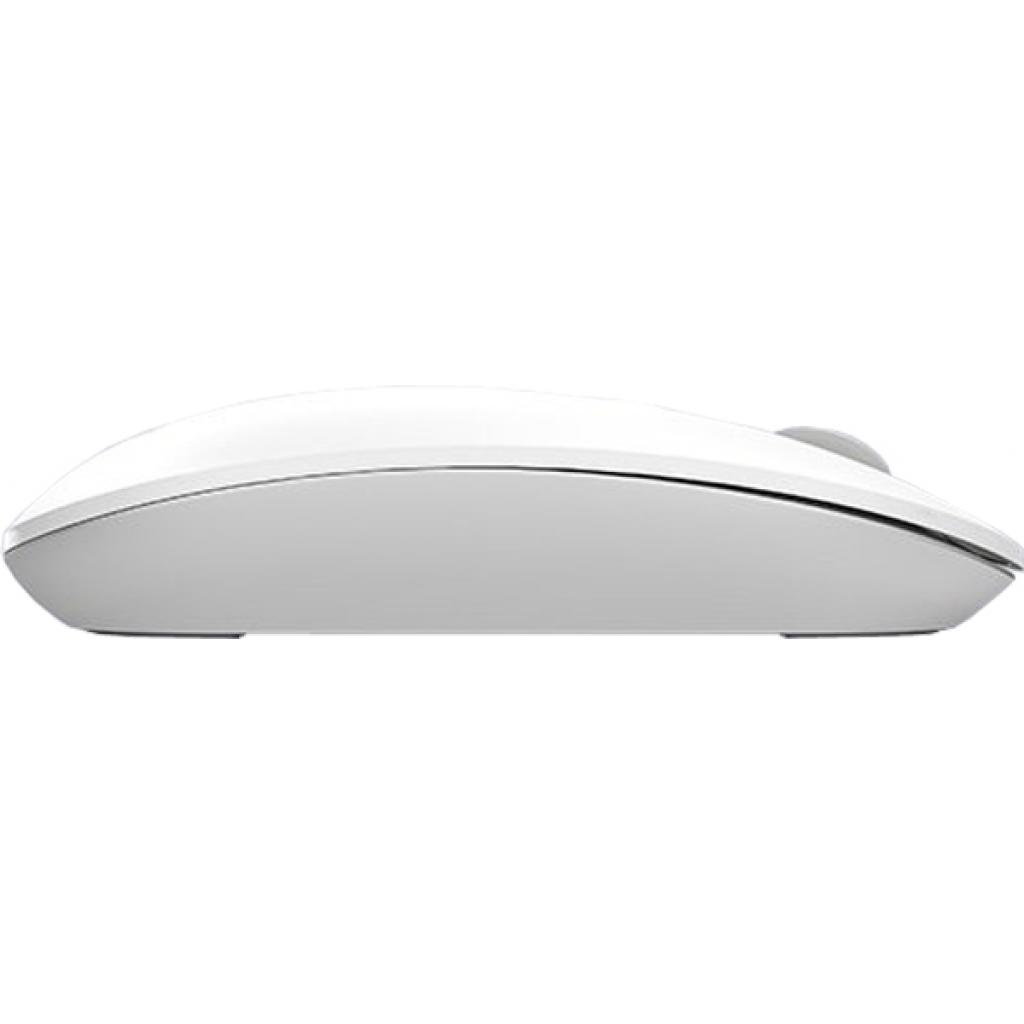Мишка A4Tech FG20 White (4711421952613)