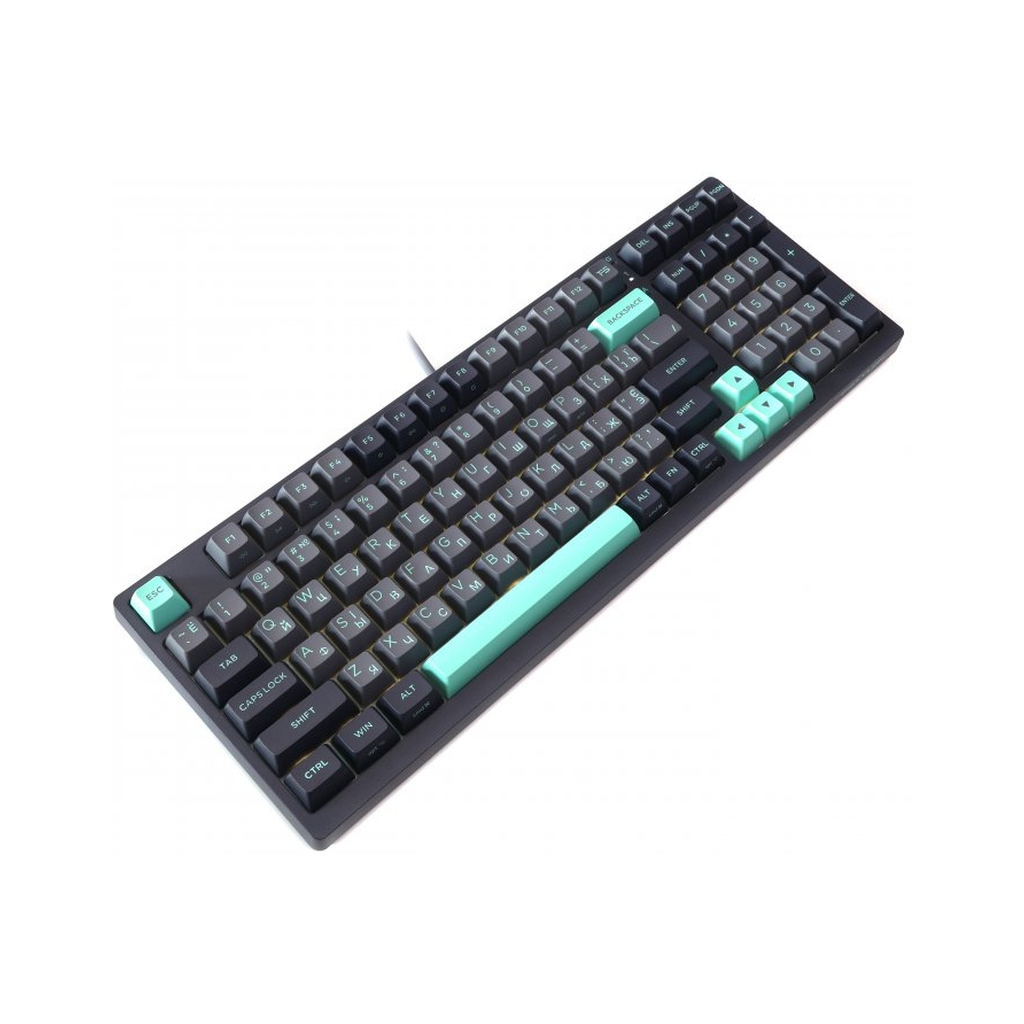Клавіатура A4Tech FS300 FS Switches USB Panda Rock Climbin (4711421000444)