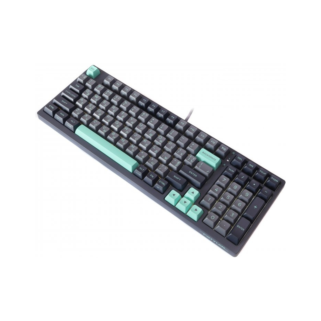 Клавіатура A4Tech FS300 FS Switches USB Panda Rock Climbin (4711421000444)