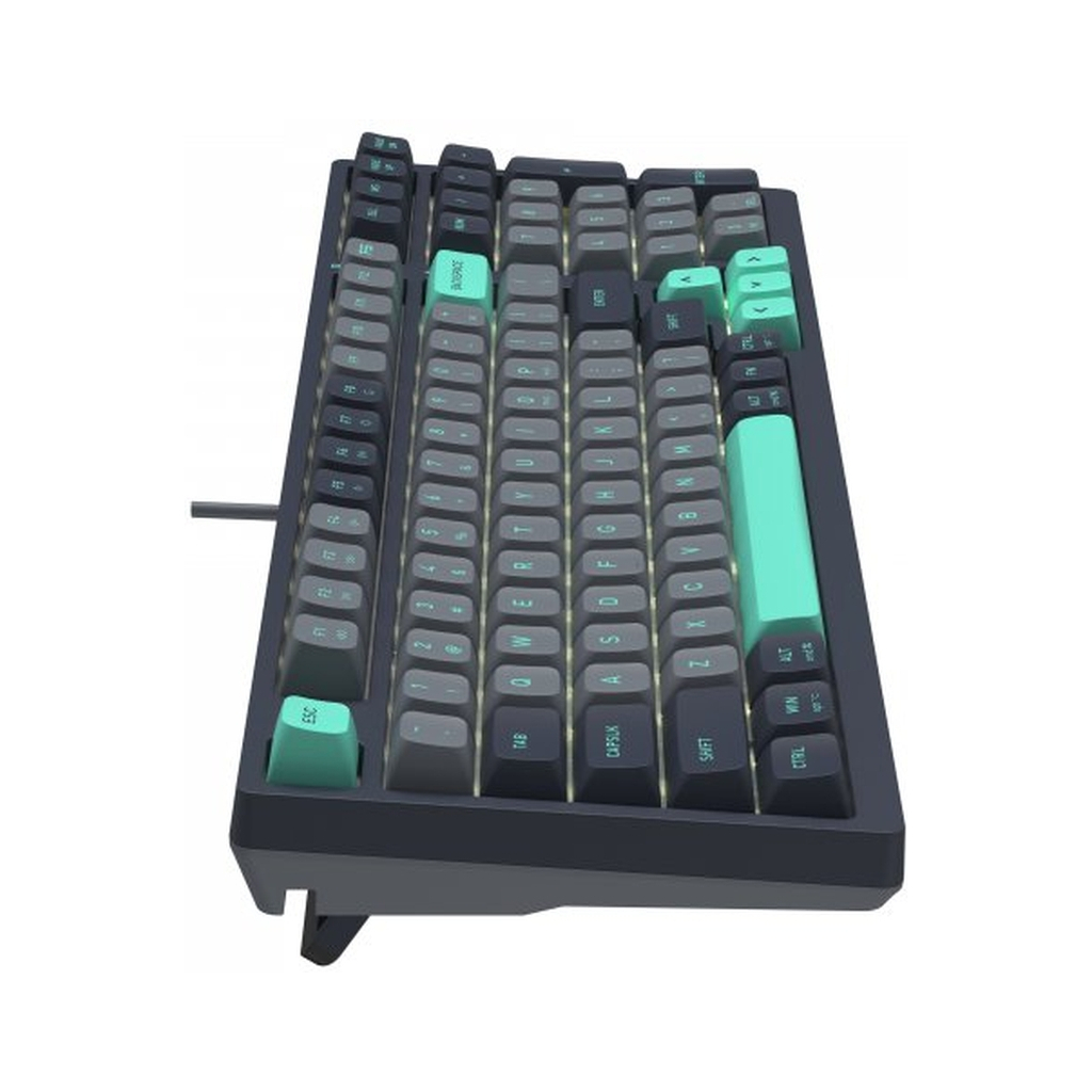 Клавіатура A4Tech FS300 FS Switches USB Panda Rock Climbin (4711421000444)