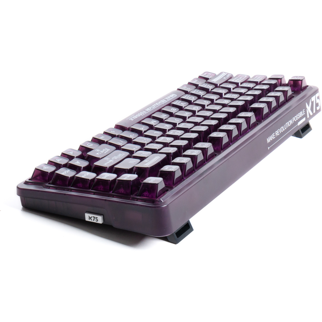 Клавіатура Thunderobot K75 TKL RGB Tri-mode Violet Mist Moon Switch Purple (6932066305550)