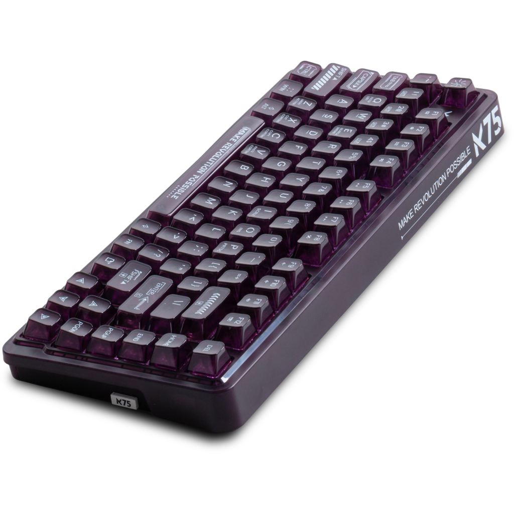 Клавіатура Thunderobot K75 TKL RGB Tri-mode Violet Mist Moon Switch Purple (6932066305550)