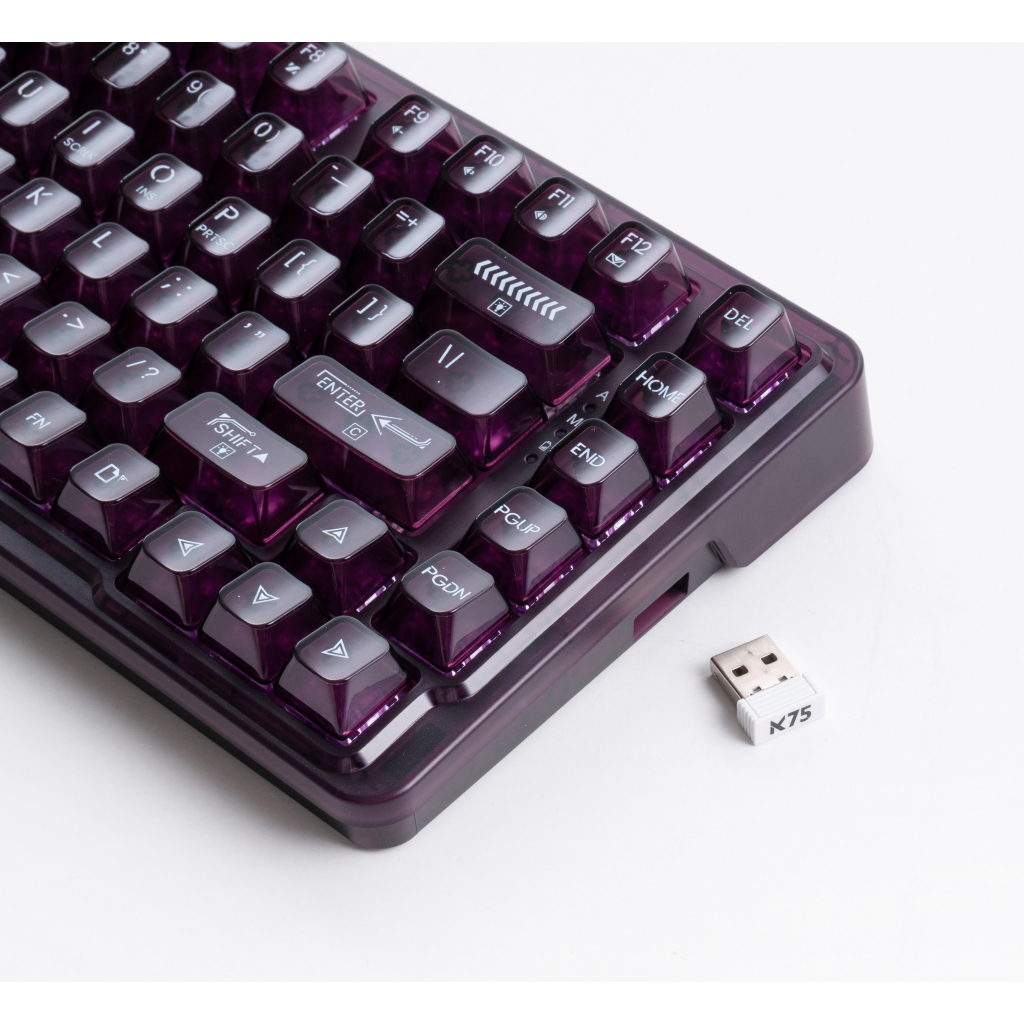 Клавіатура Thunderobot K75 TKL RGB Tri-mode Violet Mist Moon Switch Purple (6932066305550)