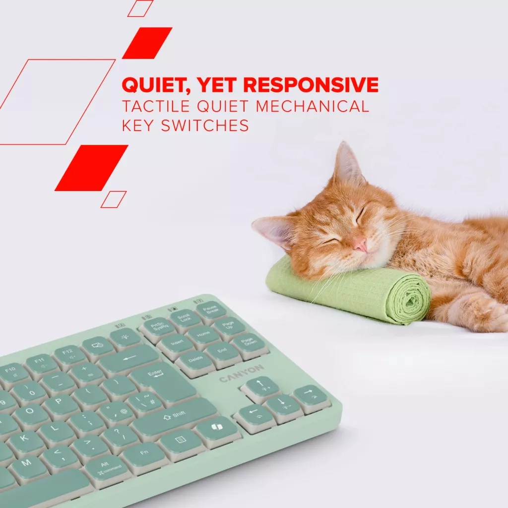 Клавіатура Canyon OnType 10 TKL Mechanical Silent Low-profile USB UA Green (CNS-HKB10GR)