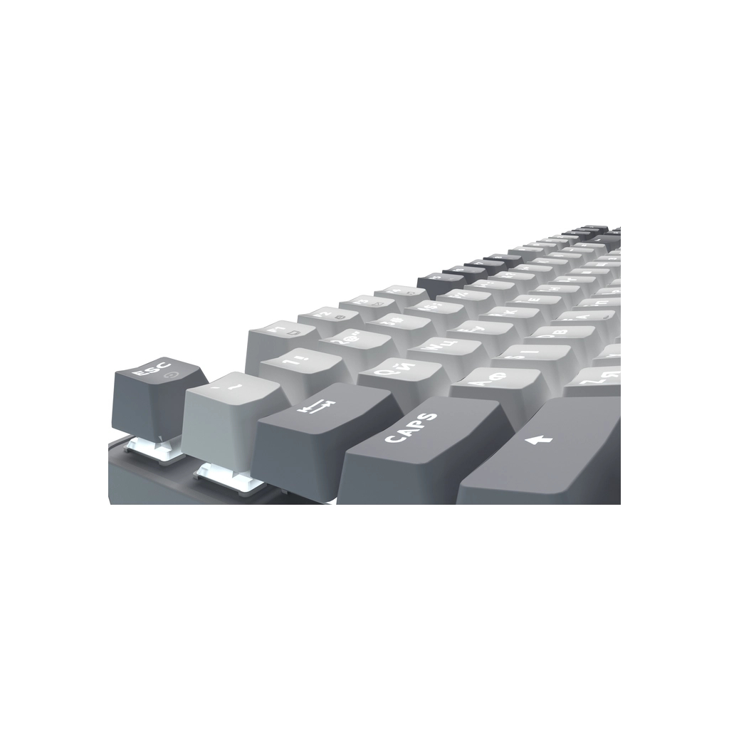 Клавіатура GamePro Genesis Metallic MK110G Outemu Red Switch USB UA Gray (MK110G)