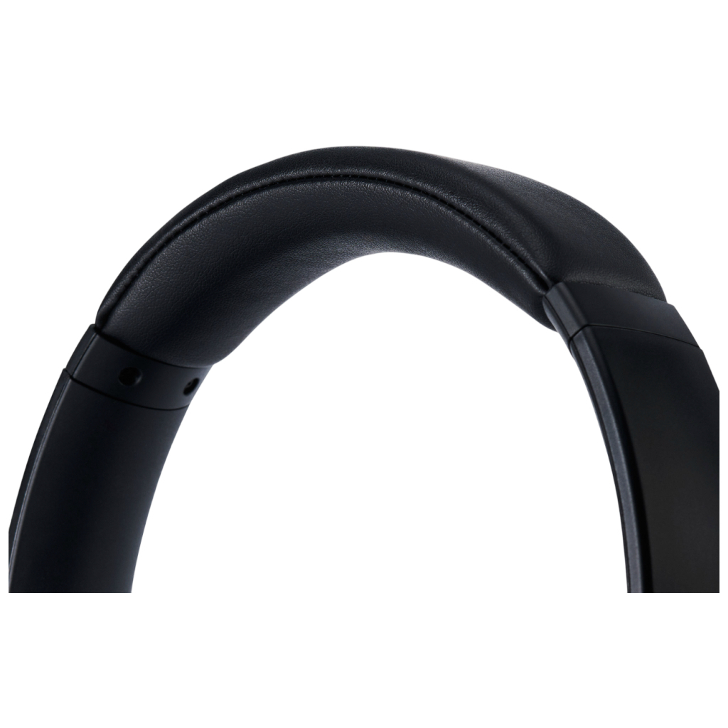 Навушники Panasonic RB-M600B Black (RB-M600BG-K)