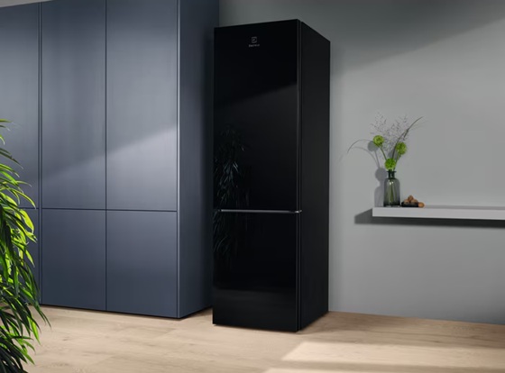 Холодильник Electrolux LNT7ME36K2