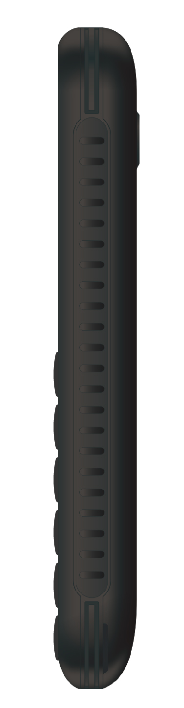 Мобільний телефон ERGO R202 Dual Sim Black